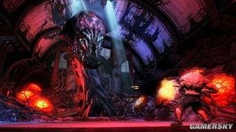 腐尸图片,揭示死亡背后的真相