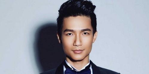 中孝介 个人资料,深情演绎，日本民谣王子的人生轨迹