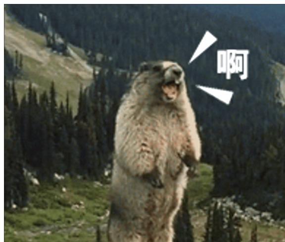 土拨鼠表情包背景是哪,土拨鼠表情包背后的创意源泉揭秘