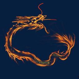 火龙照片,探寻神秘火龙照片背后的传奇故事