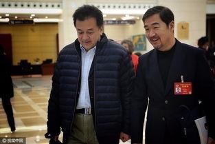 2017两会明星,聚焦2017两会名人瞬间